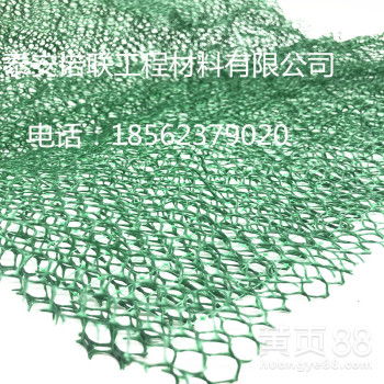 批發(fā)熱賣(mài)三維土工網(wǎng)墊 護(hù)坡固土與生態(tài)綠化的優(yōu)選方案