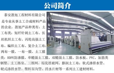 山東盈旭廠(chǎng)家 三維植被網(wǎng)與土工網(wǎng)墊的生態(tài)綠化解決方案