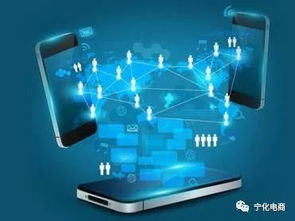 天貓平臺品牌號運營主體變更規(guī)則解析 電商生態(tài)治理的深化與賦能