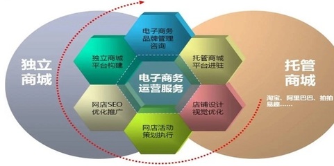 電子商務(wù)網(wǎng)站與平臺的全面推廣與精細化運營策略